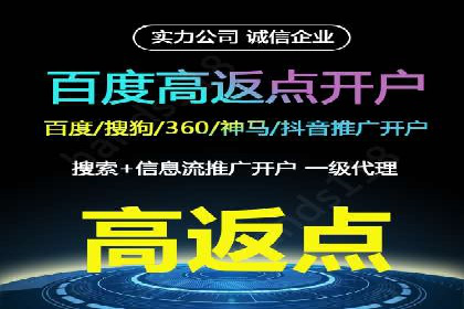 SEM推广优化策略：成功案例解析